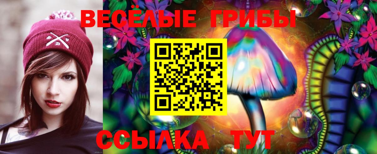 Псилоцибиновые грибы прущие грибы  как найти наркотики  Усть-Джегута  Псилоцибиновые грибы Psilocybine cubensis  Вход с VPN 